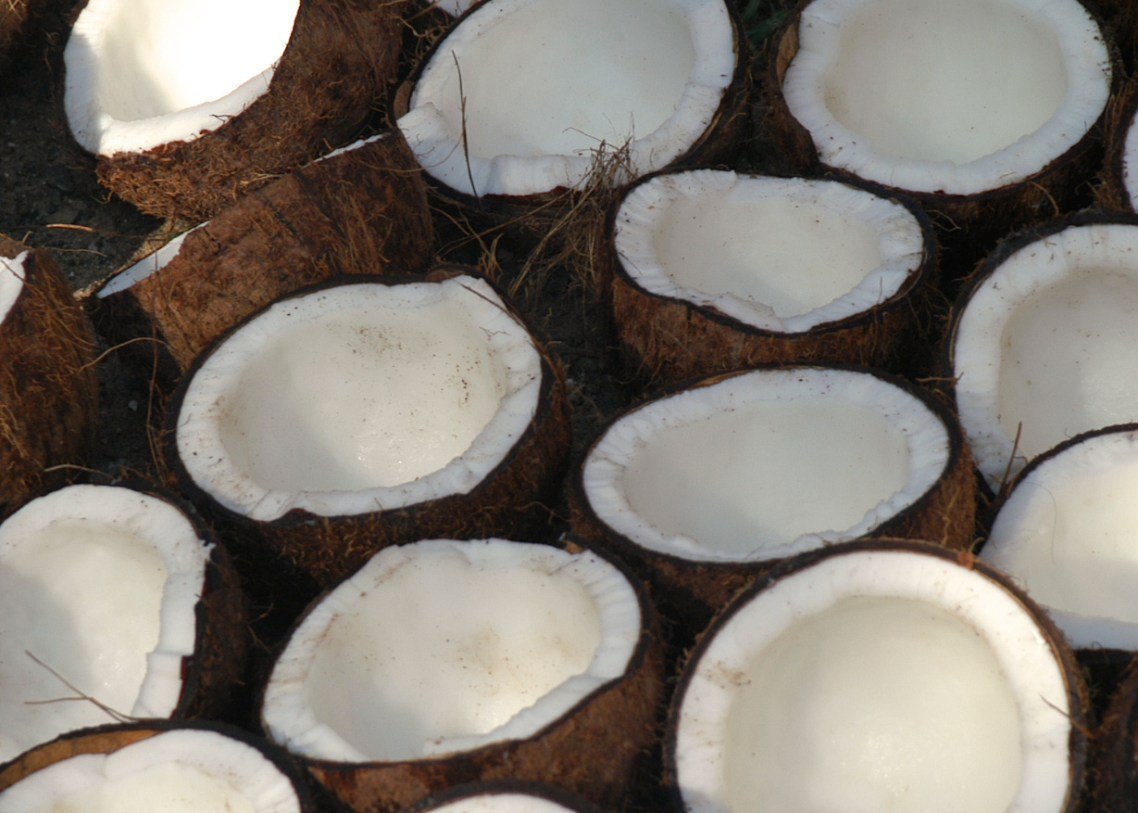 CV WATAMPONE GROUP - COCONUT 2