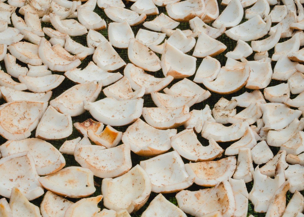 CV WATAMPONE GROUP - COPRA 2